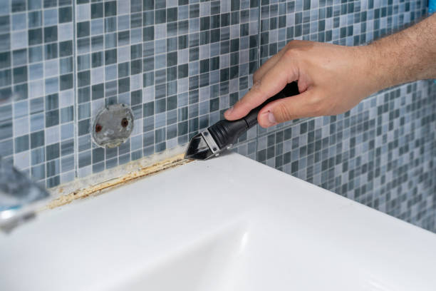 Best Commercial Mold Removal  in Angola On The Lake, NY