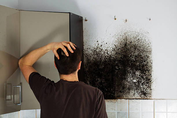 Best Office Mold Removal Services  in Angola On The Lake, NY